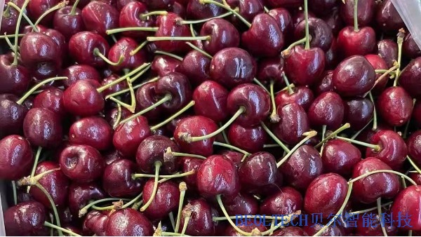 2022年，你實現車厘子自由了嗎？BEOL貝爾科技22.1.14